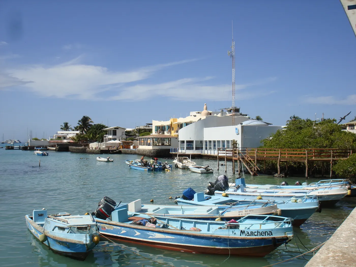 Puerto Ayora, Galápagos
